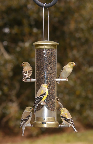 Quick-Clean Finch Tube Feeder - Small