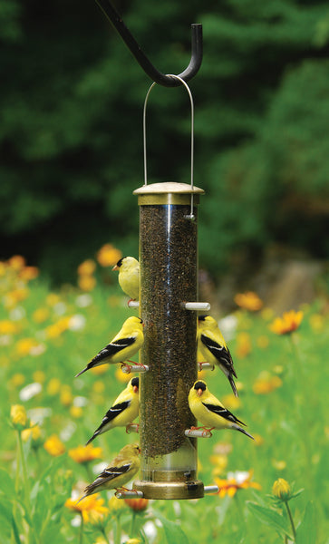 Quick-Clean Finch Tube Feeder - Medium