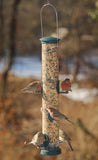 Quick-Clean Seed Tube Feeder - Large