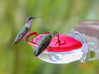 #437 - The Gem - Window Hummingbird Feeder